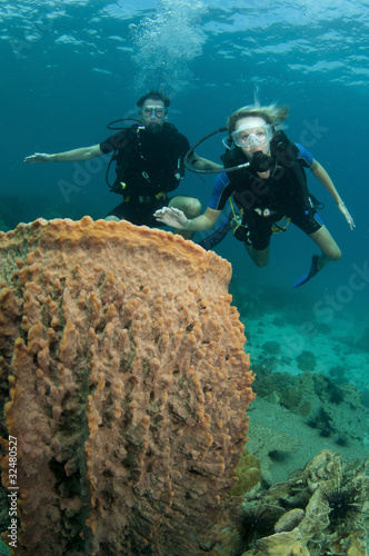 scuba divers and barrel sponge coral