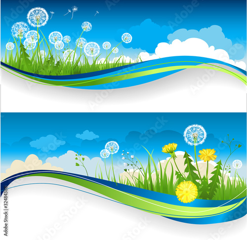 Dandelion banner