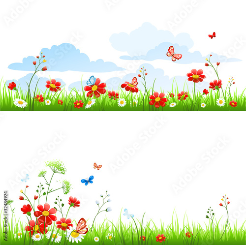 Grass and flowers