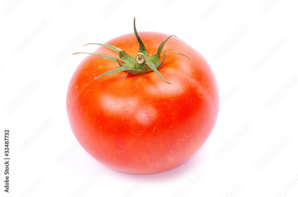 custom made wallpaper toronto digitaltomato