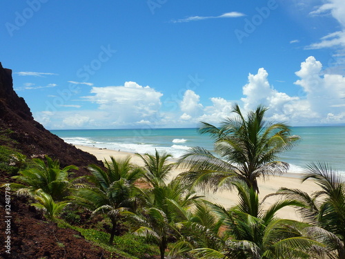 palmiers sur une plage brésilienne