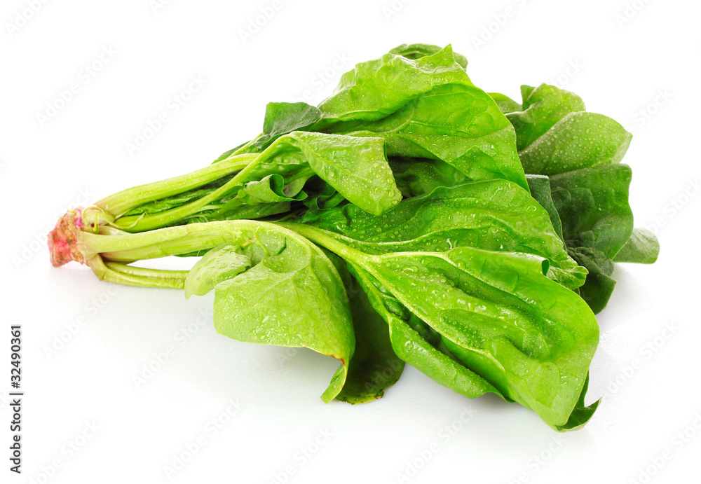 Bunch of spinach isolated on white background Bunch of spinach isolated on white background