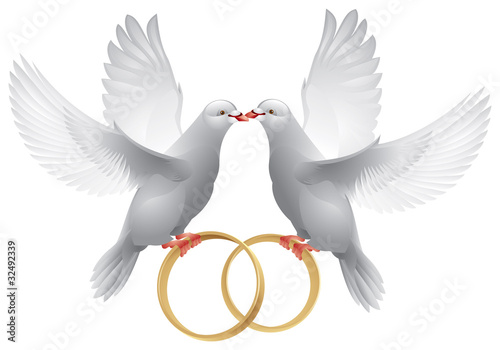 Wedding white doves with rings