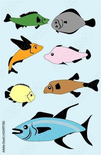 silhouette of  fish