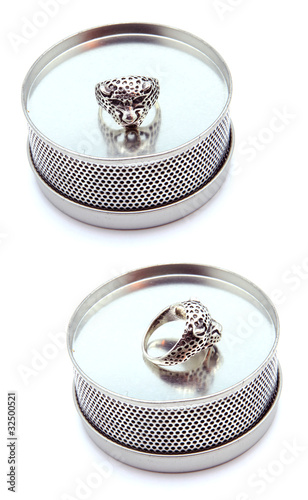 Wild Cat Ring on Fancy Display