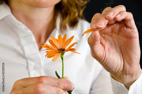 Frau reißt Blütenblätter ab