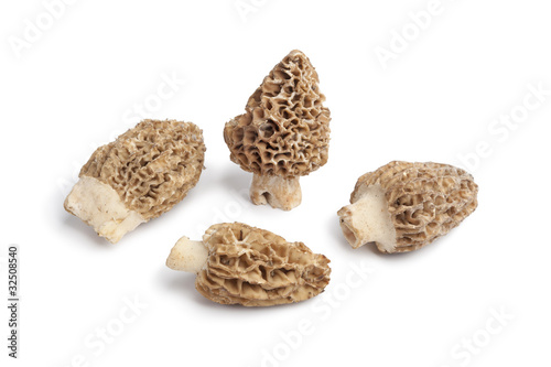 Whole fresh Morel mushrooms