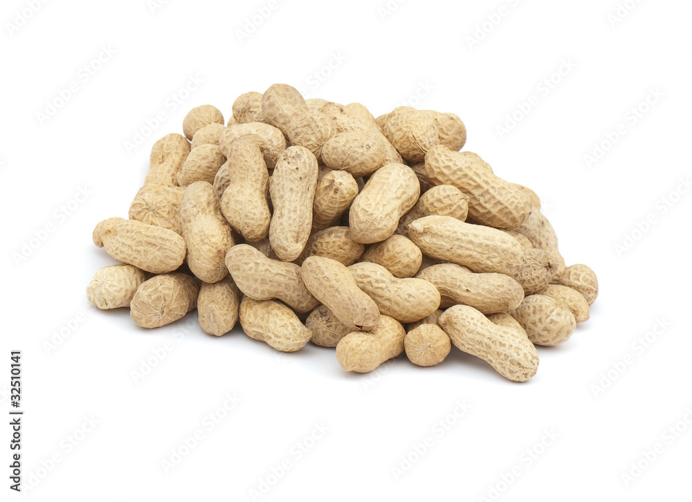 Peanut Peanut