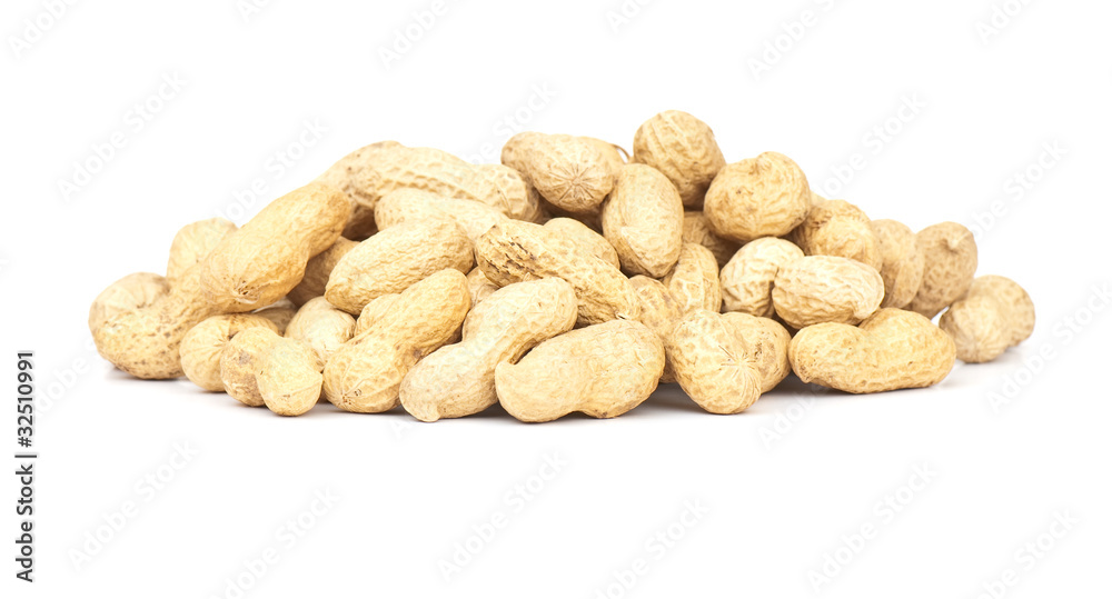 Peanut Peanut