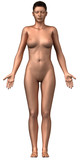 Naked woman isolated frontal view
