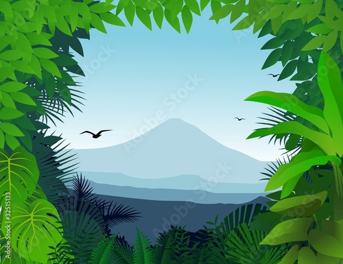 tropical forest background