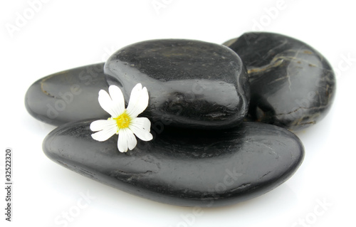 Stones with white flower