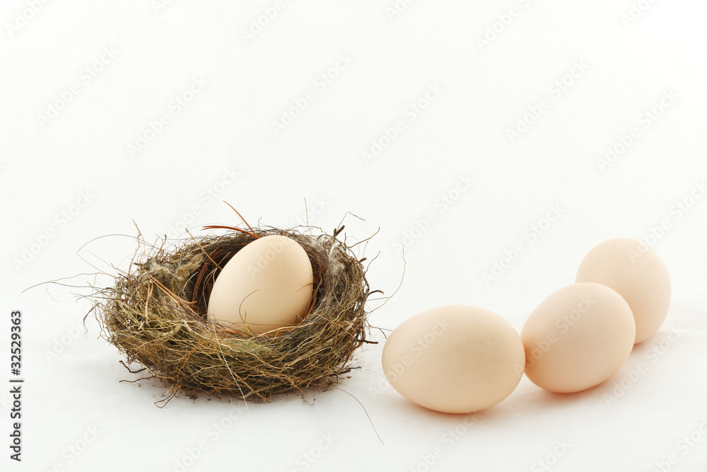 One egg inside the nest and other eggs outside One egg inside the nest and other eggs outside