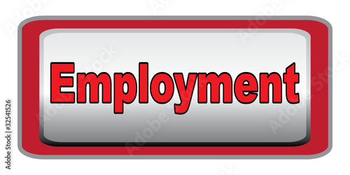 EMPLOYMENT ICON