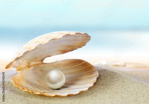 Tela Shell with a pearl