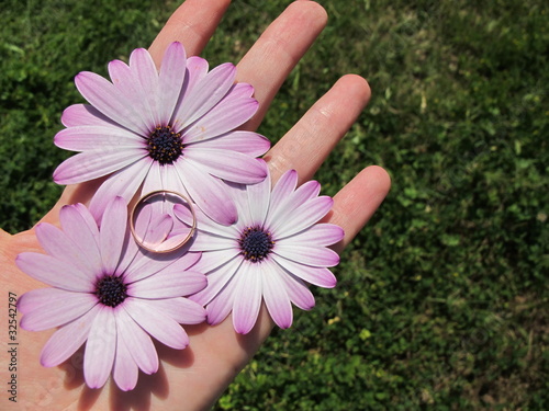anillo