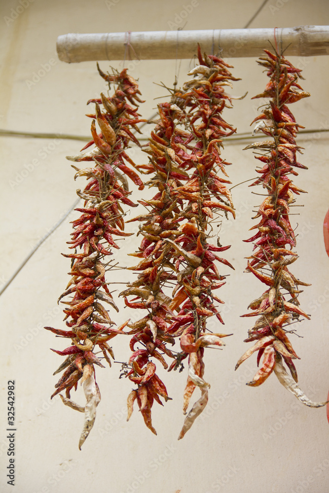 Obraz premium Dried pepper