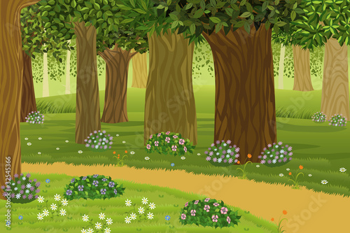 Forest