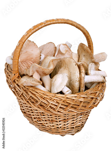 Photos Mushrooms in a basket