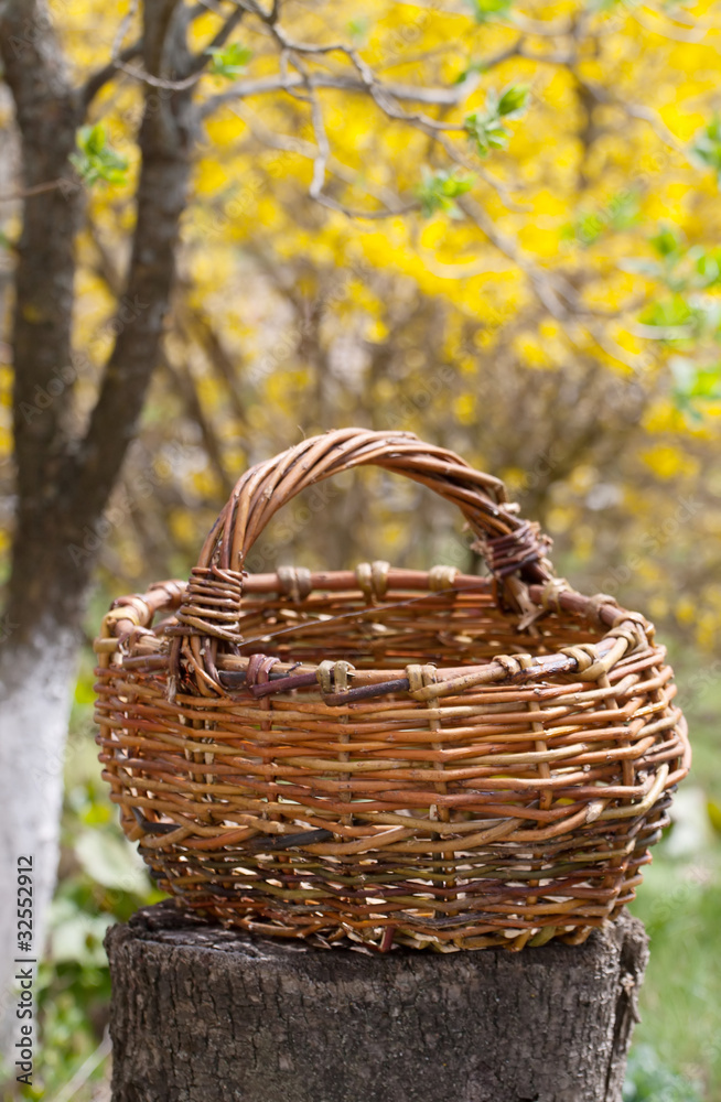 Old wicker basket in a garden Old wicker basket in a garden