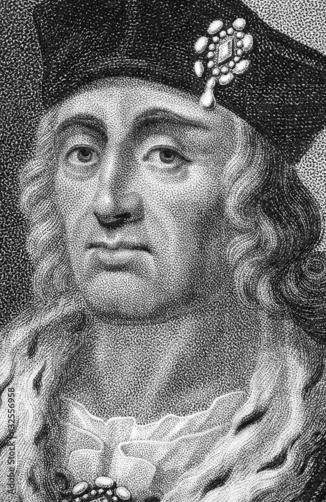 Fototapeta premium Henry VII