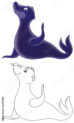 friendly smiling seal