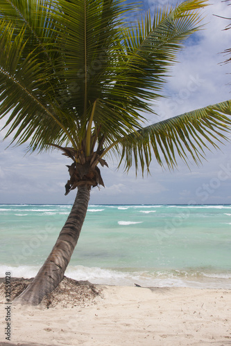 Tropical Paradise at caribbean