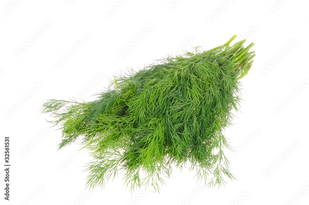 Fototapeta premium Dill isolated on the white background