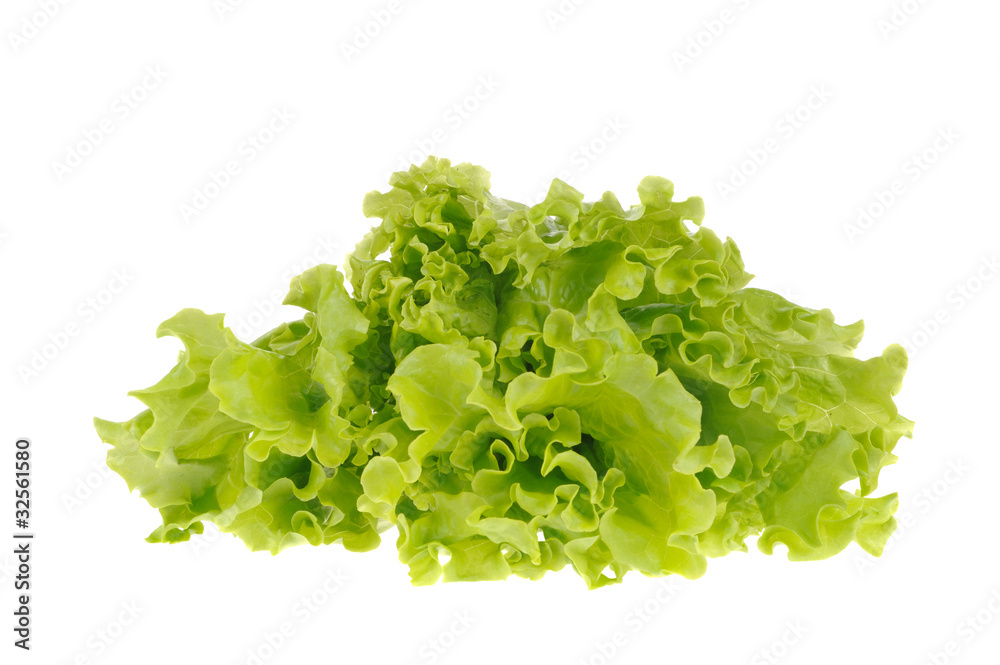 Obraz premium green salad isolated on the white background