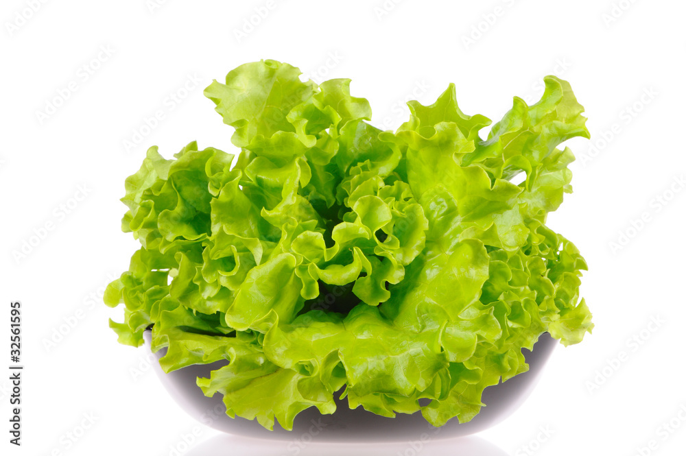 green salad in the blacl plate isolated on the white background green salad in the blacl plate isolated on the white background