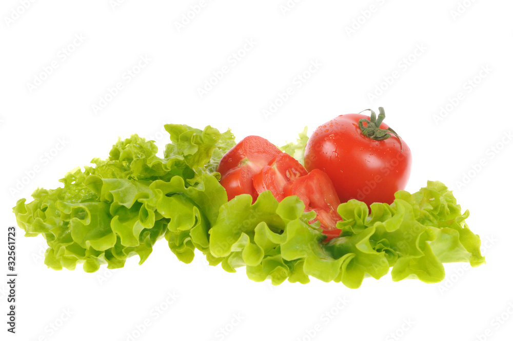 green salad and tomato isolated on the white background green salad and tomato isolated on the white background