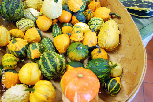 Foto Variegated small  pumpkins