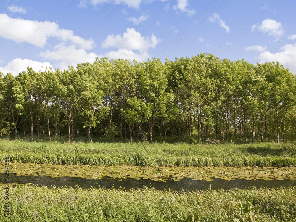 Obraz premium rural waterway