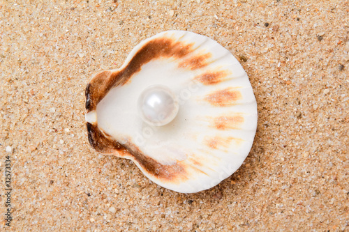 pearl on the seashell . The exotic sea shell