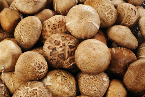 shiitake background