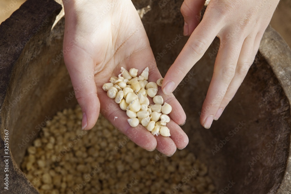 a handful of corn kernels; manica, mozambique, africa a handful of corn kernels; manica, mozambique, africa