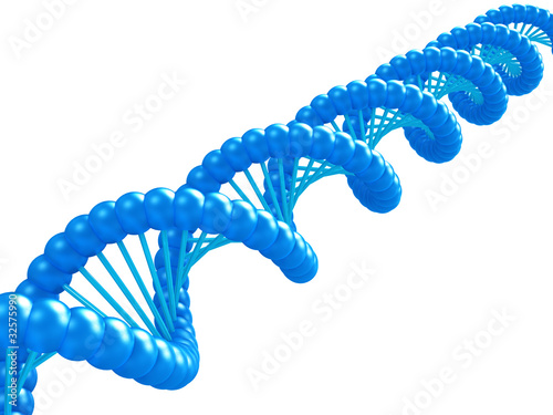 DNA model.