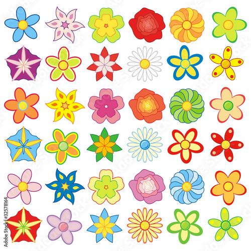 Paczka kolorowych kwiatów