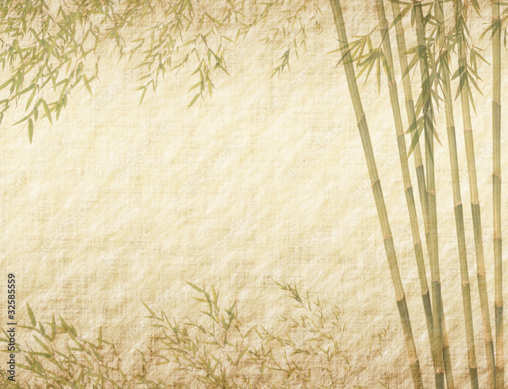 Fototapeta premium bamboo on old grunge antique paper texture .