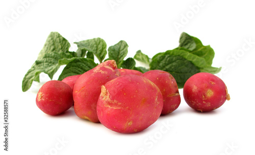 Red new potatoes with green leaves