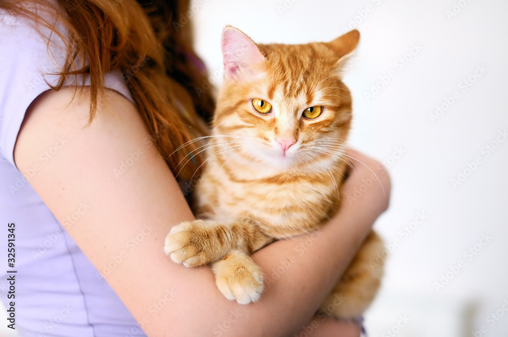 Girl holding beautiful orange tomcat