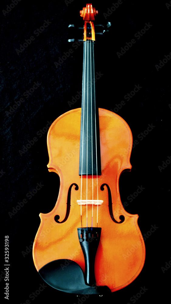 Fototapeta Violin on a black background
