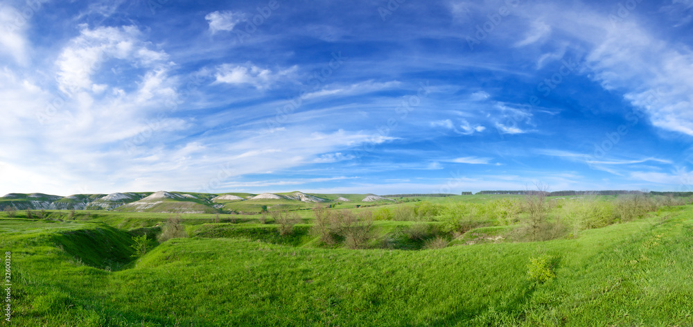 Obraz premium Spring sunny day landscape