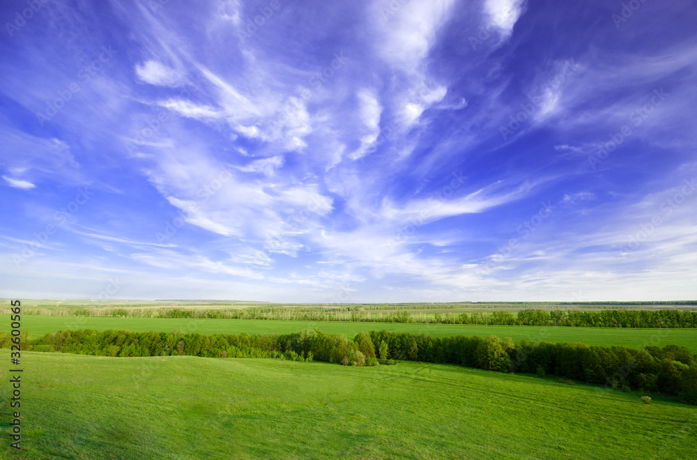 Spring sunny day landscape