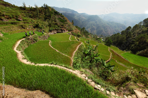 Hiking through rice terraces