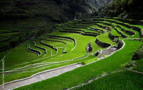 Rice terraces lit by sunrays