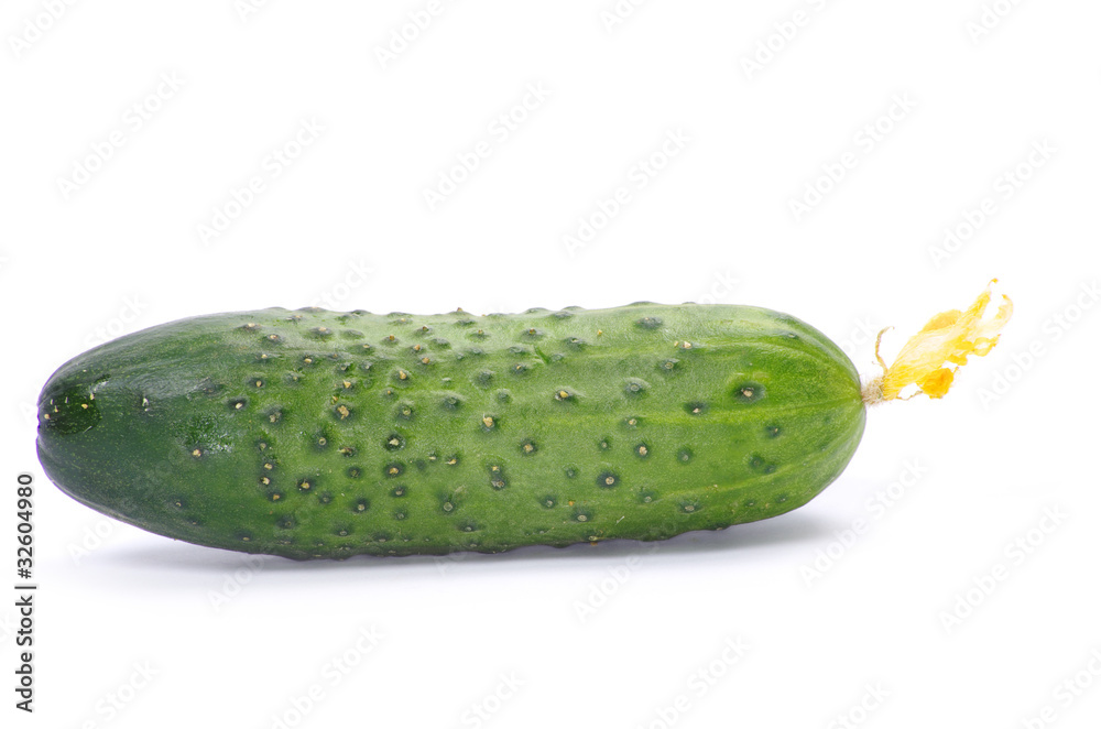 cucumber cucumber