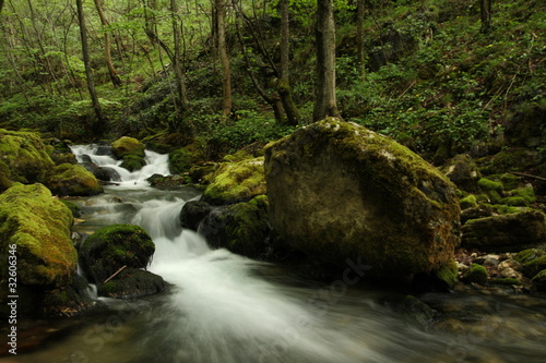 River in a forest