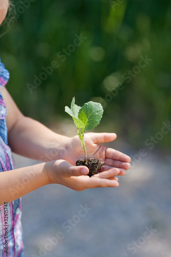 pflanze in kinderhänden