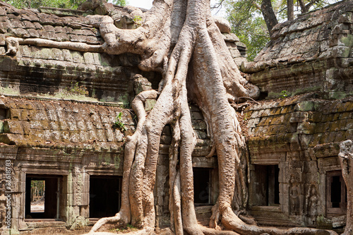 Ta Phrom Tempel